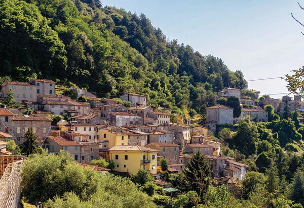 Casa Iris - Versilia, Holiday Home with Pool: Attività, Autunno, Estate, Esterni, Primavera