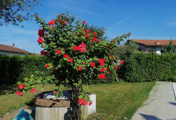 Franco House With Pool: Autunno, Estate, Giardino, Primavera