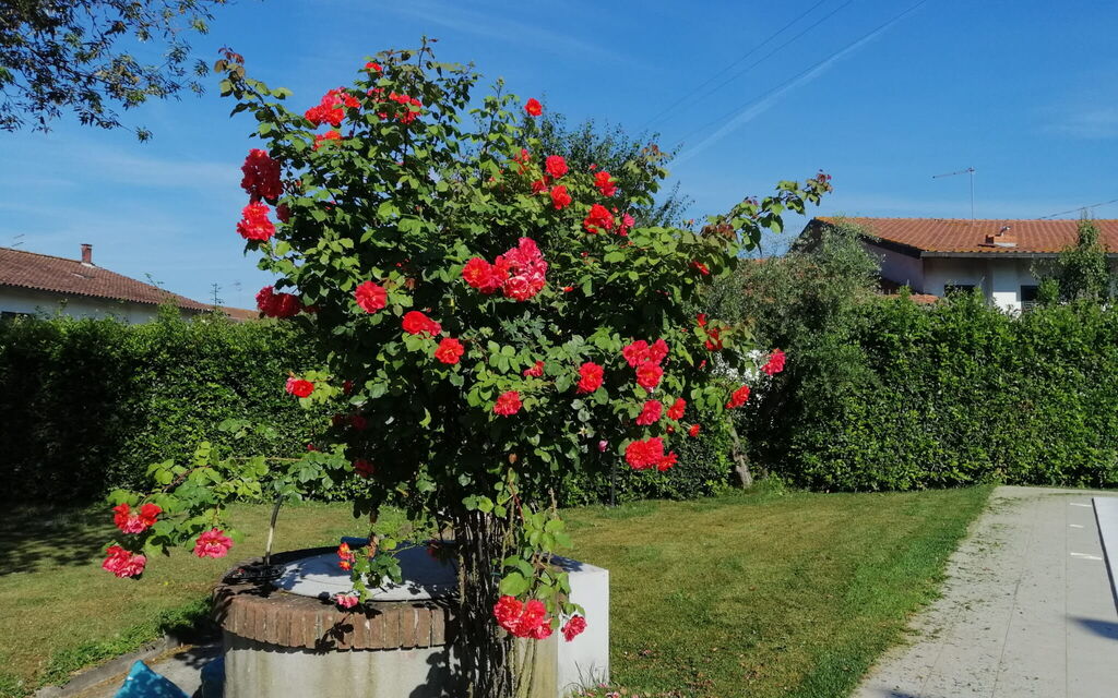 Franco House With Pool: Autunno, Estate, Giardino, Primavera