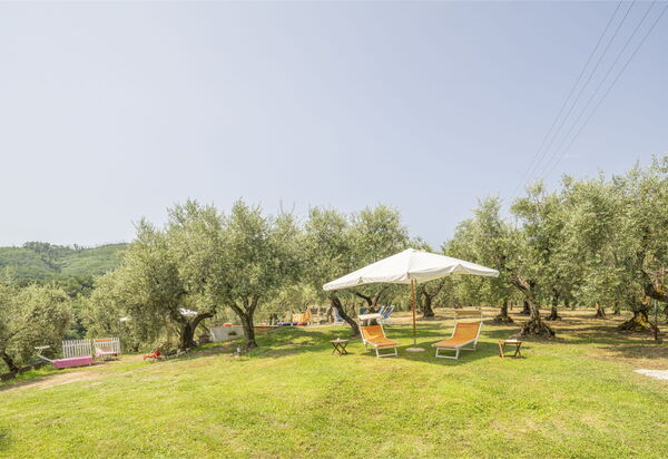Country House Casalguidi 191 Private Pool: Autumn, Garden, Spring, Summer