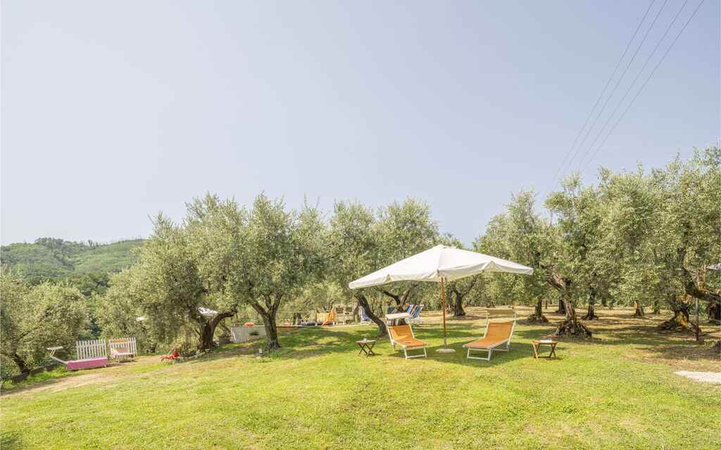 Country House Casalguidi 191 Private Pool: Autunno, Estate, Giardino, Primavera