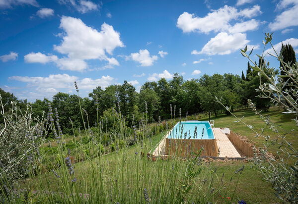 Vineyard’s Cottage With Pool, Ac, Wifi - Siena: Autunno, Estate, Giardino, Primavera