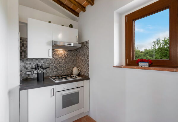 Vineyard’s Cottage With Pool, Ac, Wifi - Siena: Autunno, Cucina, Estate, Primavera