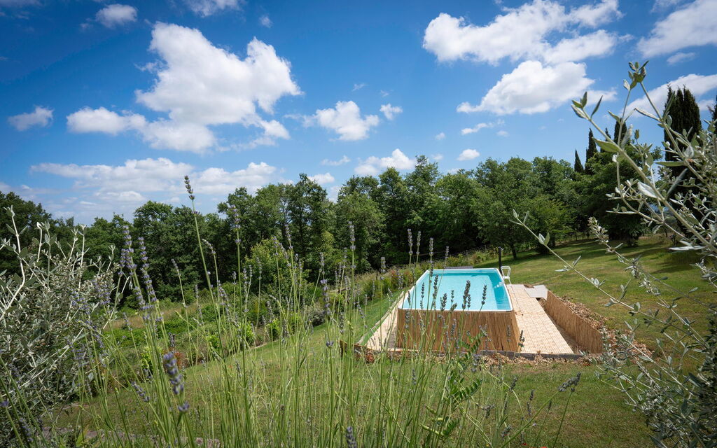 Vineyard’s Cottage With Pool, Ac, Wifi - Siena: Autunno, Estate, Giardino, Primavera