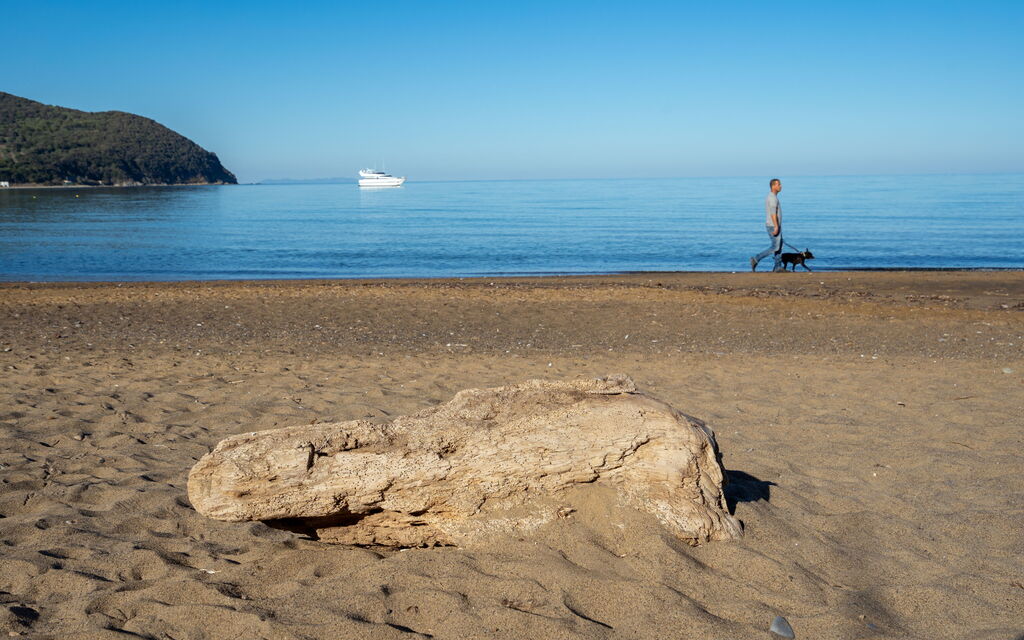 Sunset Sea View, Baratti, Populonia, Wifi, Ac: Autunno, Balcone / Terrazza / Patio, Estate, Esterni, Primavera