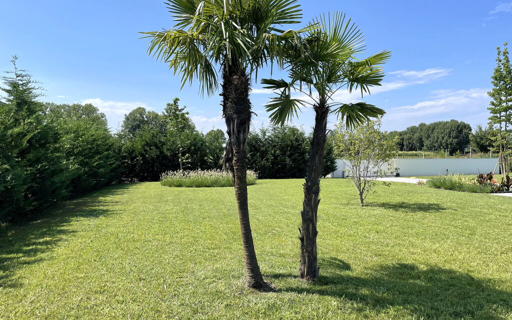 Stima Home, Padova, Pool, Ac: Autumn, Garden, Spring, Summer