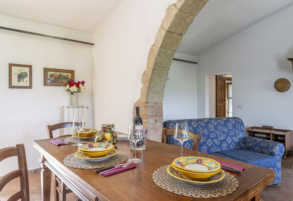 Apartment Marcigliana Front Pool Wi-fi Radicondoli: Autunno, Cucina, Estate, Primavera