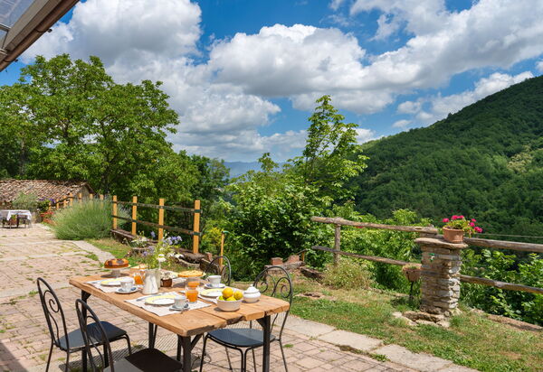 La Casa Del Tiglio: Balcony / Terrace / Patio, Building Exterior, Food, Garden, Outdoor