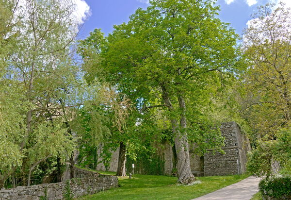 Casa Di Pietro In Vivo D'orcia, Pool: Autumn, Building Exterior, Spring, Summer