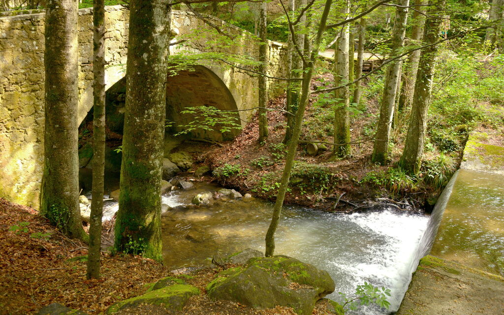 Casa Di Pietro In Vivo D'orcia, Pool: Activities, Autumn, Outdoor, Spring, Summer