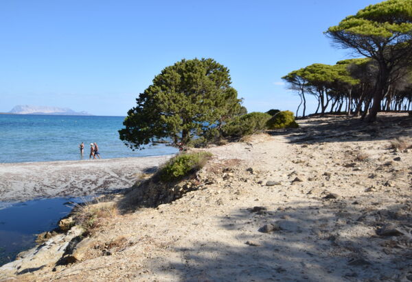 Villa Del Sole In Budoni Sea View: Autunno, Estate, Esterni, Primavera