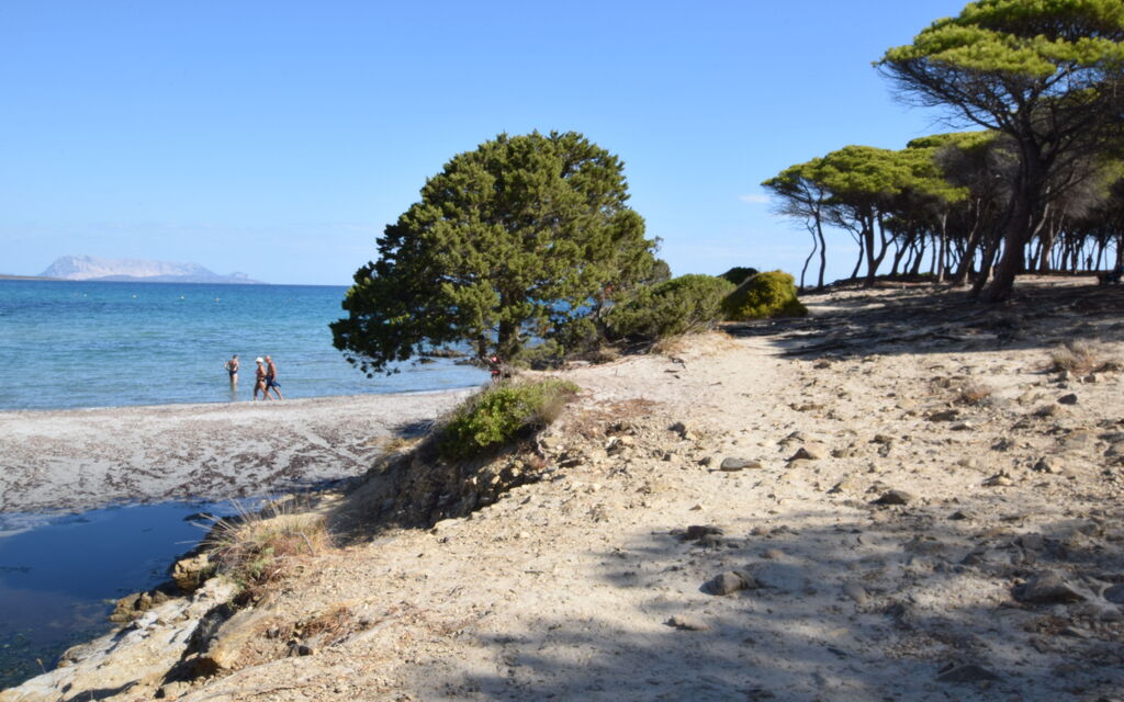 Villa Del Sole In Budoni Sea View: Autumn, Building Exterior, Spring, Summer