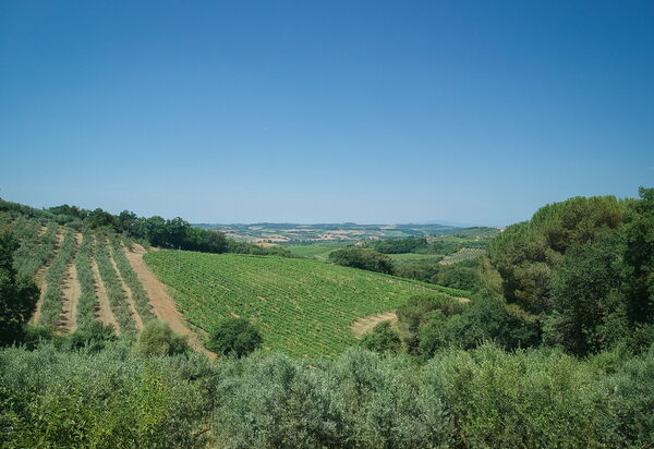 Chianti Hills Apartment, Pool, Ac: Autumn, Scenic View, Spring, Summer