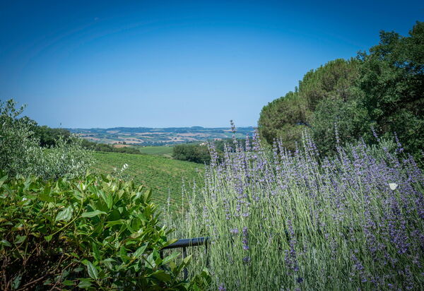 Chianti Hills Apartment, Pool, Ac: Autumn, Scenic View, Spring, Summer