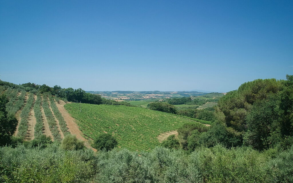 Chianti Hills Apartment, Pool, Ac: Autumn, Scenic View, Spring, Summer