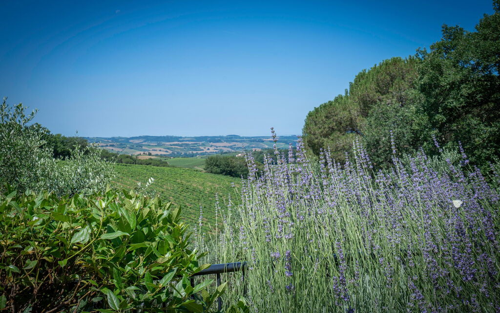 Chianti Hills Apartment, Pool, Ac: Autumn, Scenic View, Spring, Summer