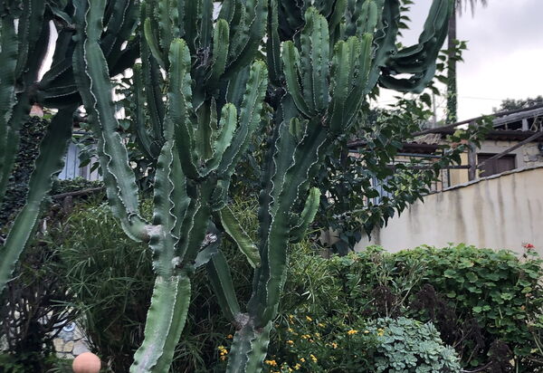 San Noto House With Pool Ac Wifi: Autumn, Garden, Spring, Summer