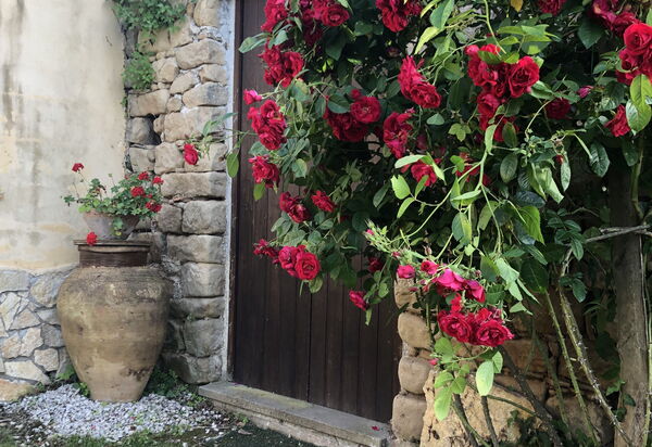 San Noto House With Pool Ac Wifi: Autumn, Garden, Spring, Summer