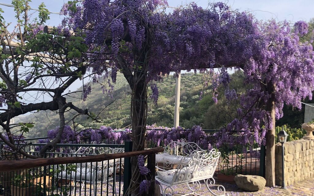 San Noto House With Pool Ac Wifi: Autunno, Estate, Giardino, Primavera