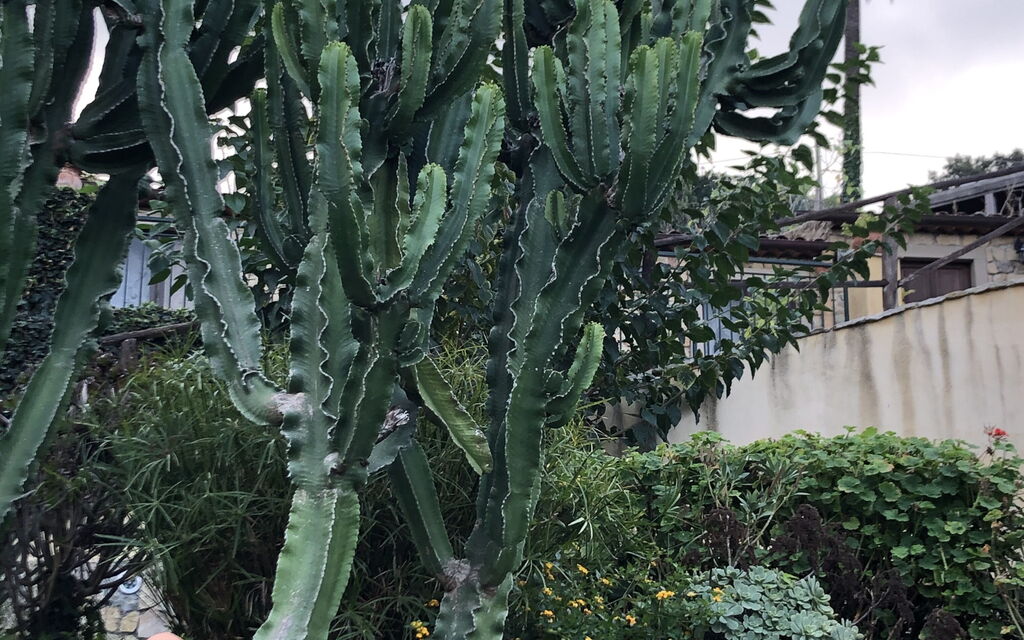 San Noto House With Pool Ac Wifi: Autunno, Estate, Giardino, Primavera