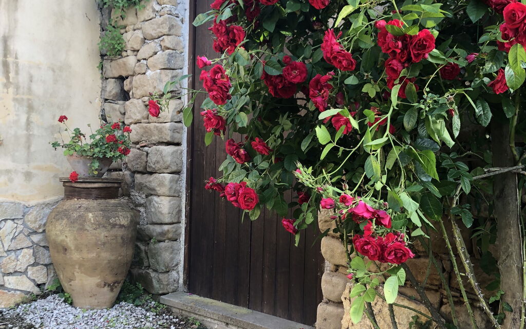 San Noto House With Pool Ac Wifi: Autunno, Estate, Giardino, Primavera