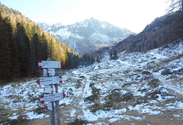 Baita a Pieve Tesino Mountain And Lake: Activities, Autumn, Spring, Summer