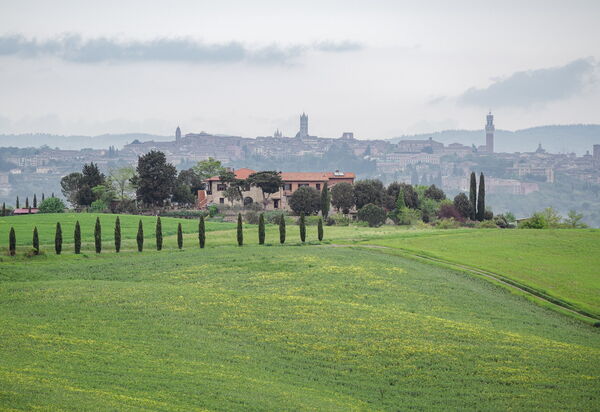 Santa Colomba House, Siena, Nature And Pool: Activities, Autumn, Outdoor, Spring, Summer
