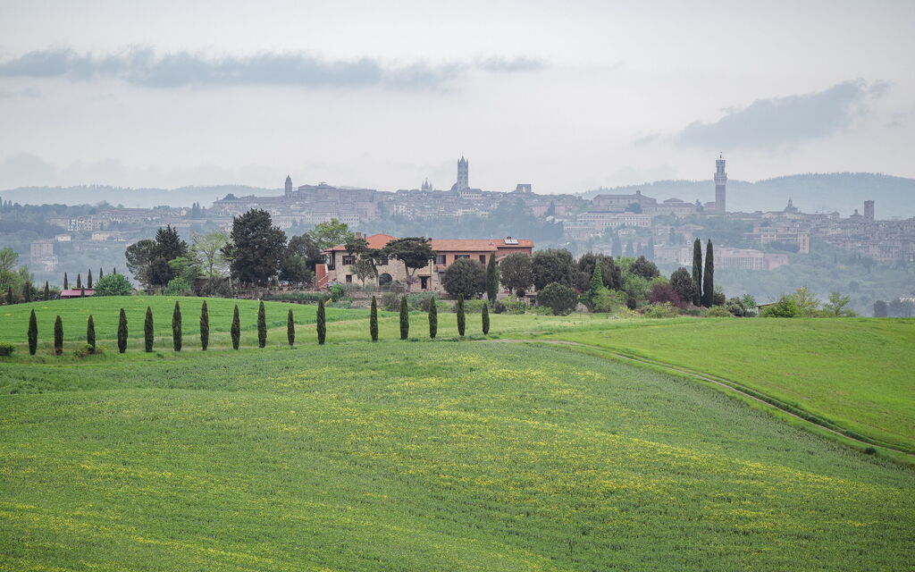 Santa Colomba House, Siena, Nature And Pool: all'aperto, Attività, Autunno, Estate, Primavera