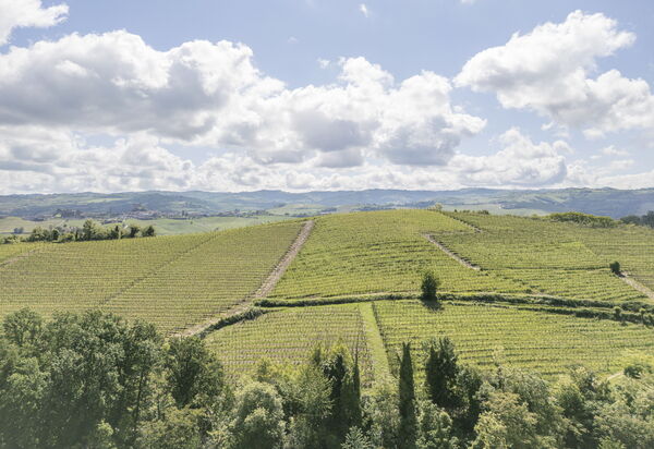 Arpusè, Relax nelle Langhe - Barolo, with Pool: Autunno, Estate, Esterni, Primavera, Vista Panoramica