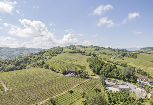 Arpusè, Relax nelle Langhe - Barolo, with Pool: Autunno, Estate, Esterni, Primavera, Vista Panoramica