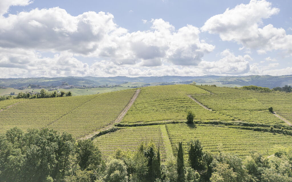 Arpusè, Relax nelle Langhe - Barolo, with Pool: Autunno, Estate, Esterni, Primavera, Vista Panoramica