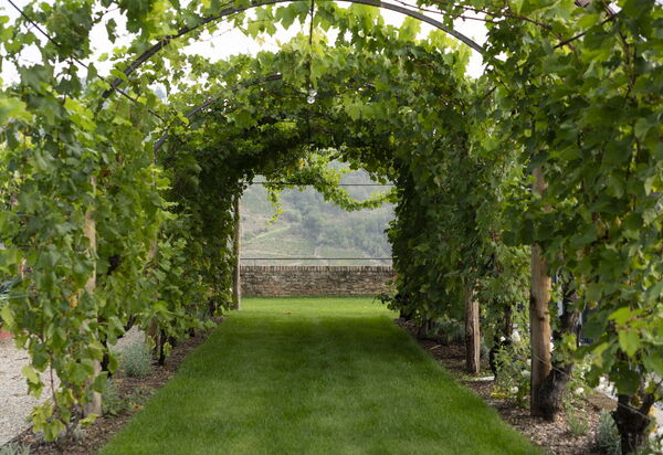 Luxury Langhe, Pool, Bike, Experience Vigne Di Fagnano Eco Relais: Autunno, Estate, Giardino, Primavera