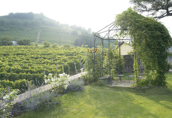 Luxury Langhe, Pool, Bike, Experience Vigne Di Fagnano Eco Relais: Autunno, Estate, Giardino, Primavera