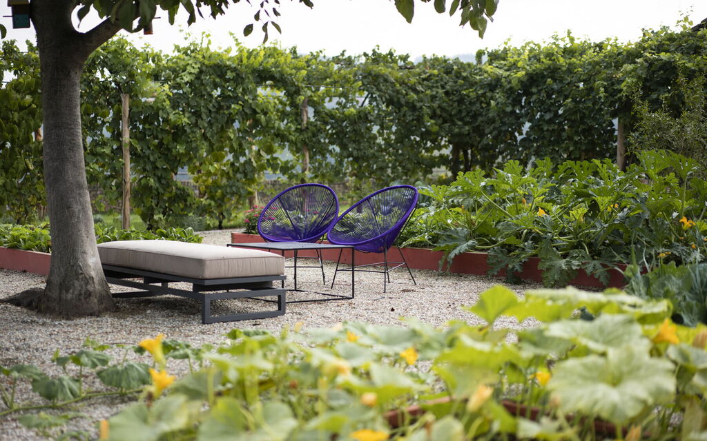 Luxury Langhe, Pool, Bike, Experience Vigne Di Fagnano Eco Relais: Autunno, Estate, Giardino, Primavera