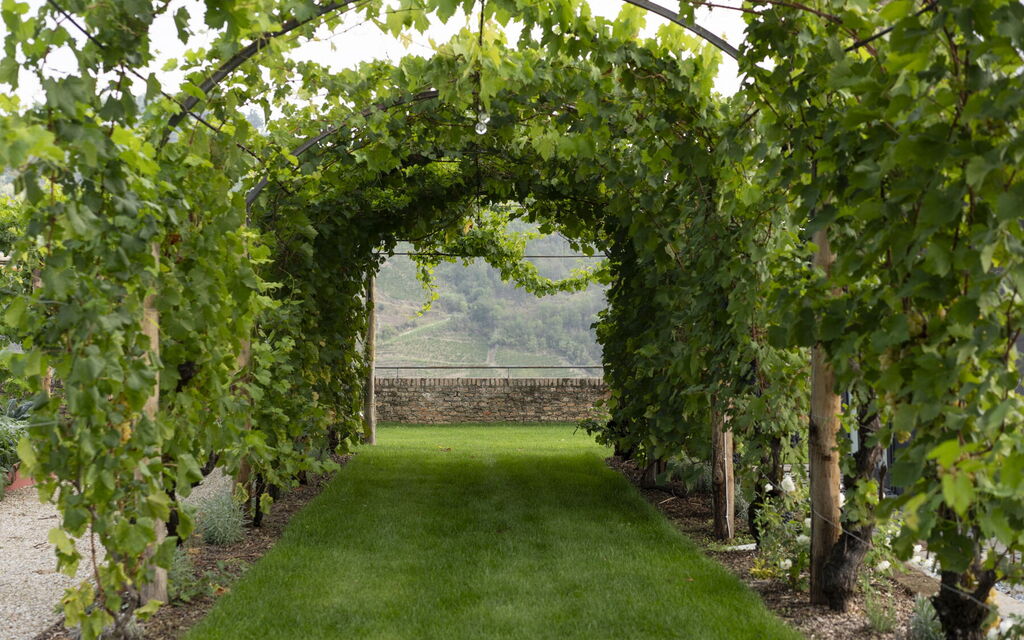 Luxury Langhe, Pool, Bike, Experience Vigne Di Fagnano Eco Relais: Autunno, Estate, Giardino, Primavera