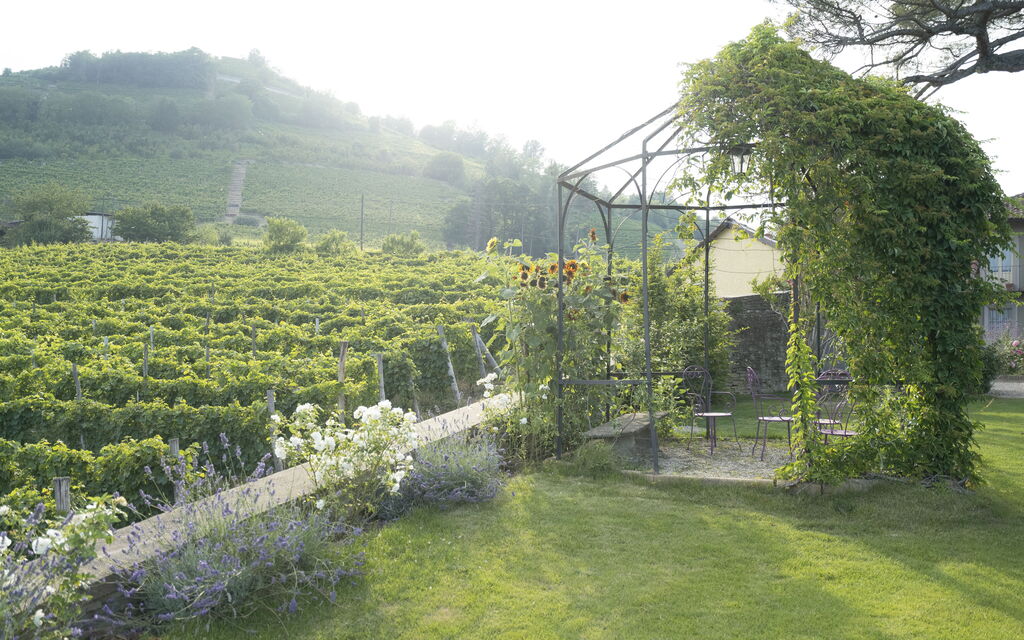 Luxury Langhe, Pool, Bike, Experience Vigne Di Fagnano Eco Relais: Autunno, Estate, Giardino, Primavera
