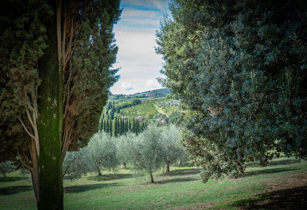 La Tesa Country House With Pool S. Gimignano: Autumn, Garden, Spring, Summer
