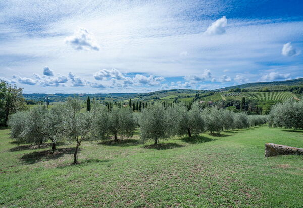 La Tesa Country House With Pool S. Gimignano: Autumn, Garden, Spring, Summer