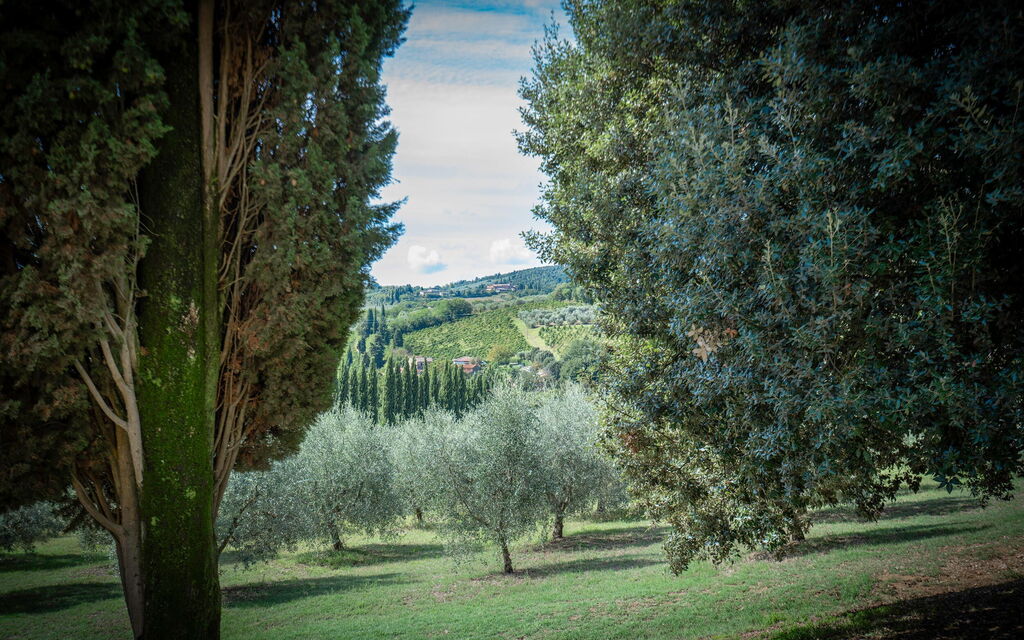 La Tesa Country House With Pool S. Gimignano: Autunno, Estate, Giardino, Primavera