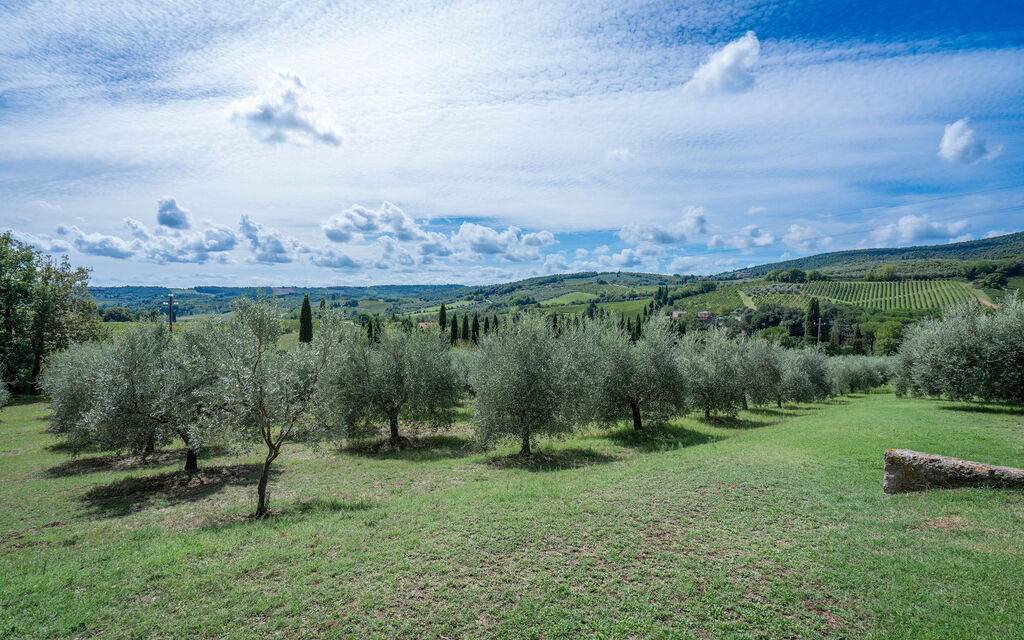 La Tesa Country House With Pool S. Gimignano: Autunno, Estate, Giardino, Primavera