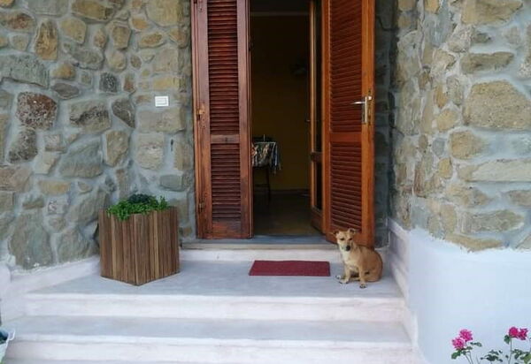 Bellavista Tuscany Apartment Panoramic Terrace: Autumn, Balcony / Terrace / Patio, Spring, Summer