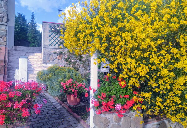 Bellavista Tuscany Apartment Panoramic Terrace: Autumn, Building Exterior, Spring, Summer