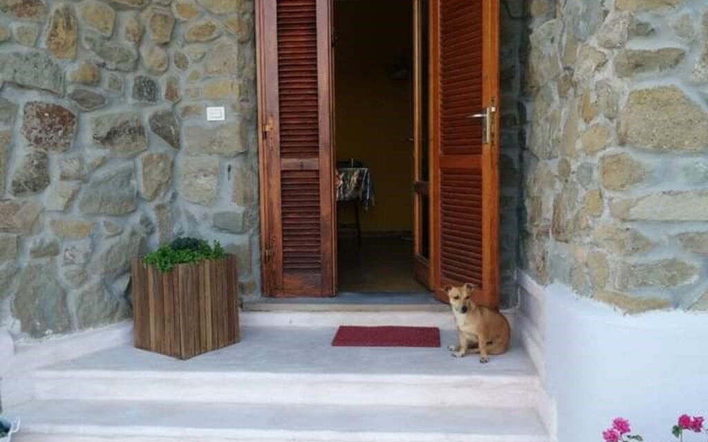 Bellavista Tuscany Apartment Panoramic Terrace: Autunno, Balcone / Terrazza / Patio, Estate, Primavera