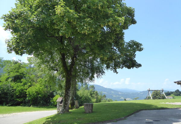 Baita Tersilia Mountain And Lake, Veneto: Autumn, Other Room, Spring, Summer