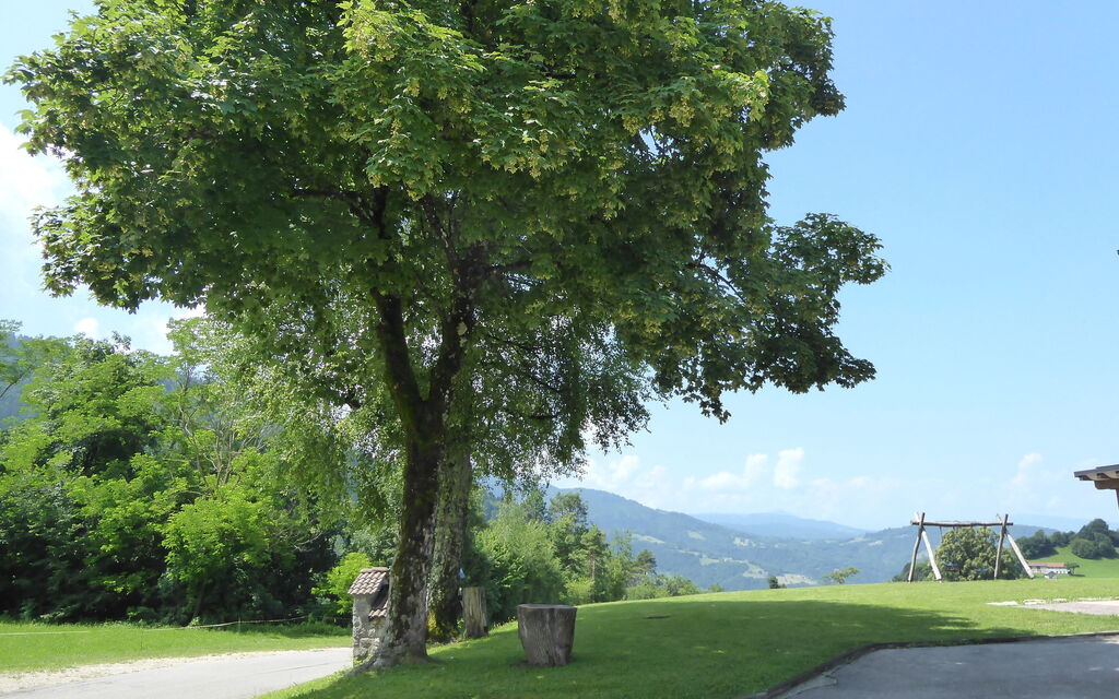 Baita Tersilia Mountain And Lake, Veneto: Altra Stanza, Autunno, Estate, Primavera