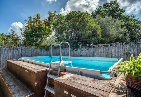 Villa Solaria with Private Pool: Autunno, Estate, Inverno, Piscina, Primavera