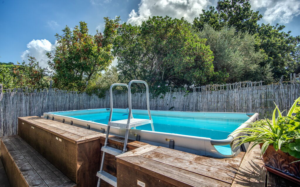 Villa Solaria with Private Pool: Autunno, Estate, Inverno, Piscina, Primavera