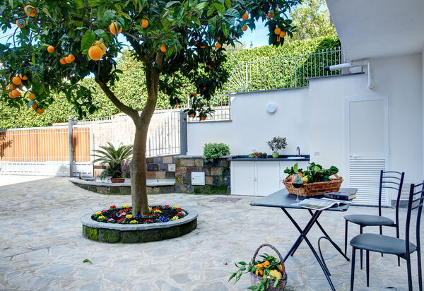 Clementine Country House: Autunno, Estate, Esterni, Inverno, Primavera