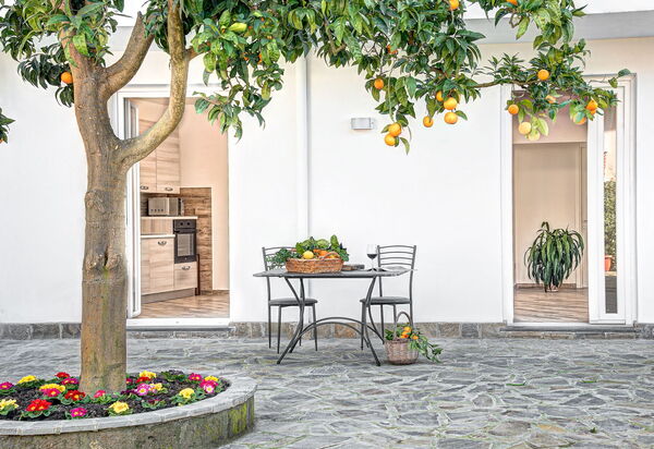 Clementine Country House: Autunno, Estate, Esterni, Inverno, Primavera