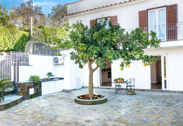 Clementine Country House: Autunno, Estate, Esterni, Inverno, Primavera